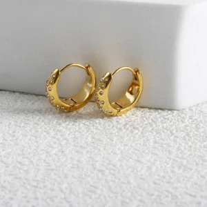 MSXE 0842 Hoop earrings